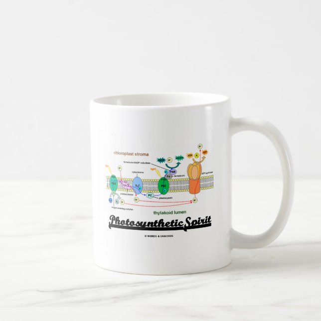 Mug Esprit photosynthétique (Biochimie Attitude) (Droite)