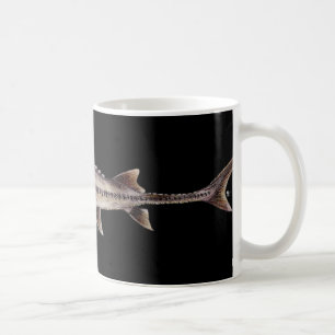 Mug Esturgeon pâlot - albus de Scaphirhynchus