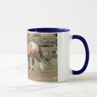 Mug étalon Bradford de sportaloosa