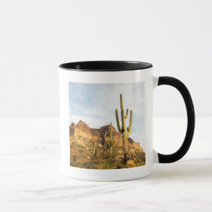 Mug États-Unis, Arizona, Tonto National Forest, Picket