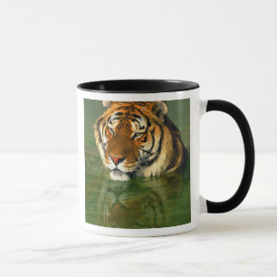 Mug États-Unis, Californie, comté de Los Angeles. Beng