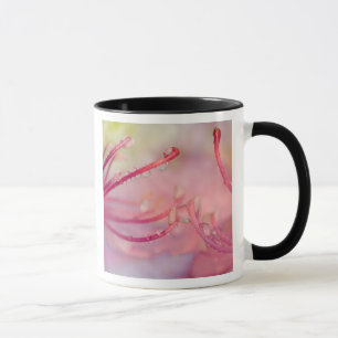 Mug États-Unis, Caroline du Nord. Rhododendron de Cat