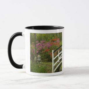 Mug États-Unis; Caroline du Sud; Charleston;5
