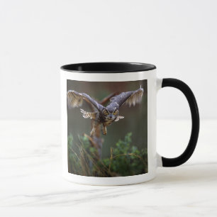 Mug États-Unis, Géorgie, Pine Mountain, Callaway Garde