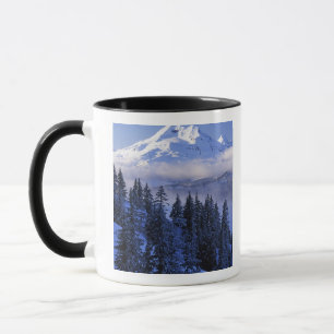 Mug États-Unis, Oregon, forêt nationale de Deschutes, 
