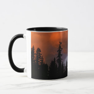 Mug États-Unis, Oregon, Forêt nationale d'Umpqua. Temp