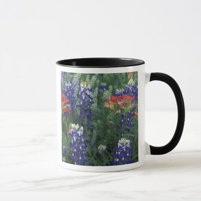 Mug États-Unis, Texas Hill Country. Bluebonnets et (Droite)