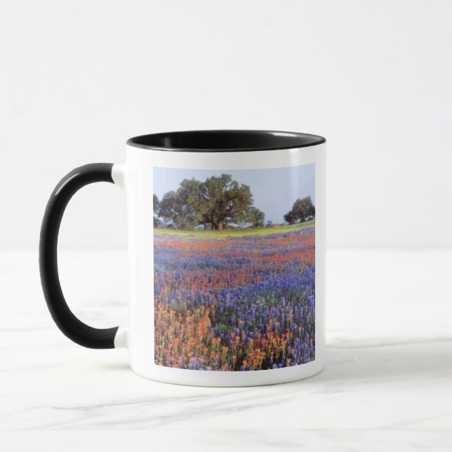 Mug États-Unis, Texas, Llano. Bluebonnets et redbonnet (Gauche)