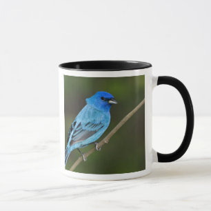 Mug États-Unis, Texas, South Padre Island
