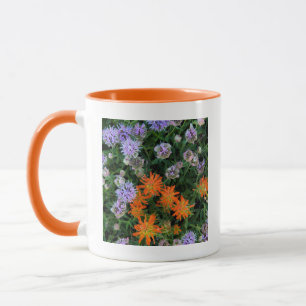 Mug États-Unis, Utah, Forêt nationale d'Uinta-Wasatch-