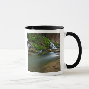 Mug États-Unis, Utah, Zion National Park. La Vierge