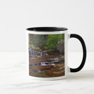 Mug États-Unis, Utah, Zion National Park. Pittoresque