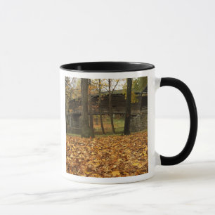 Mug États-Unis, Virginie, Covington, Humpback couvert