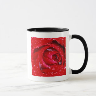 Mug États-Unis, Washington, comté de Spokane, Manito P