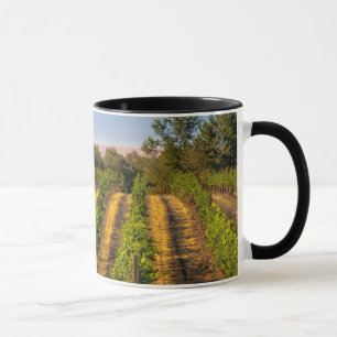 Mug États-Unis, Washington oriental, Vignobles de Wall