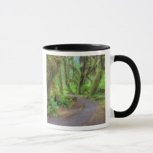 Mug États-Unis, Washington, Parc national Olympique, H