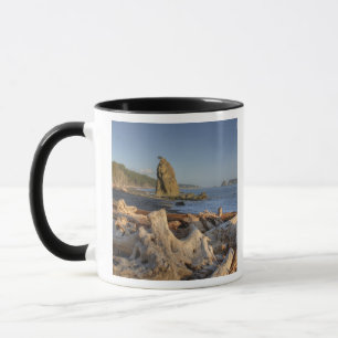 Mug États-Unis, Washington, Parc national Olympique, R