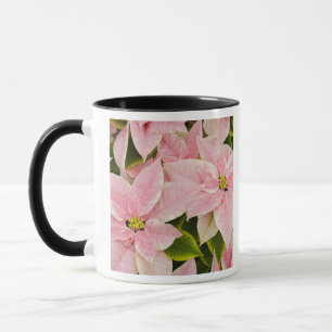 Mug États-Unis, Washington, Woodinville, Molbak's Nurs