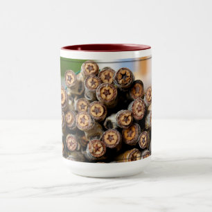 Mug Etoiles le long du Rio Grande Cotton Wood Trees