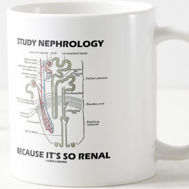 Mug Étudiez la néphrologie parce que c'est tellement n (Nephrologists will enjoy this medical truism advice mug featuring a kidney's nephron)