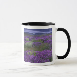 Mug Europe, Turquie, Cappadoce. Paysage rural 2