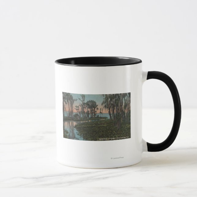 Mug Eustis, Floride - Vue sur le canal de Swampy (Droite)