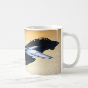 MUG F-14 TOMCAT "PATROLE DE SOLEIL"