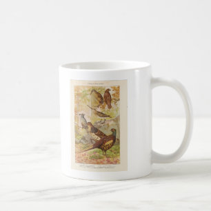 Mug Faisan et tout autre jeu
