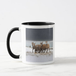 Mug Famille de moutons de montagne
