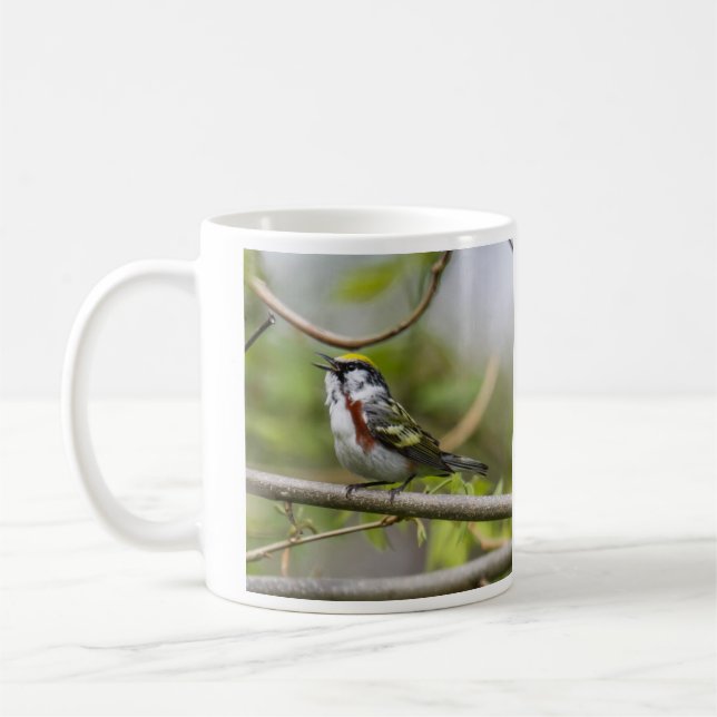 Mug fauvette Châtaigne-dégrossie (Gauche)