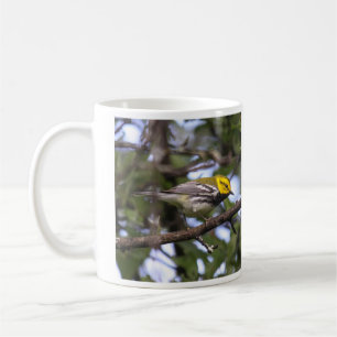 Mug fauvette verte Noir-throated