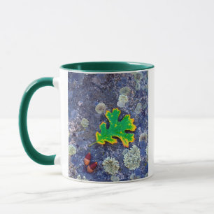 Mug Feuille de chêne et glands sur une roche couverte