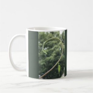 Mug Feuille et vrille de volubilis