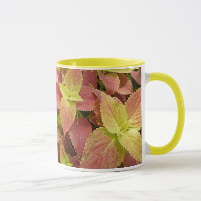 Mug Feuille saisissant de coleus (Droite)