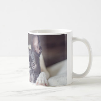 Mug Fina Boston Terrier