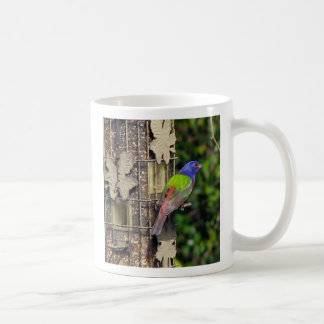 Mug finch-1- 5-06 février, la photo donnante un petit