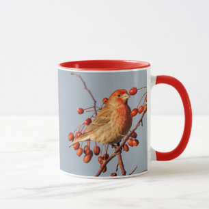 Mug Finch maison avec Berries Hawthorn