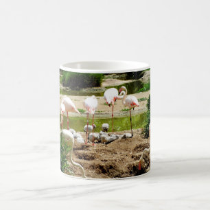 Mug Flamants roses et poussins