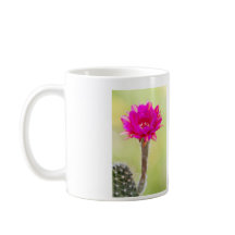 Fleur de cactus d'antimatière