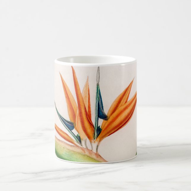Mug Fleur du paradis vintage illustré (Centre)