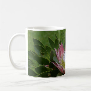Mug Fleur Protea rose