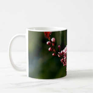 Mug Fleur rose dans la lumière chaude de l'été