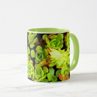Mug Fleurs de succulentes vertes