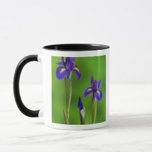 Mug Fleurs d'Iris