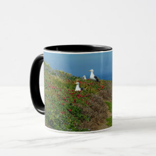 Mug Fleurs et mouettes sur l'île d'Anacapa