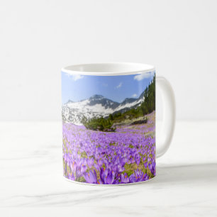 Mug Fleurs   Parc de montagne de Crocus Pirin Bulgarie