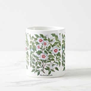 Mug Fleurs vintages d'Hibiscus par Basilius Besler
