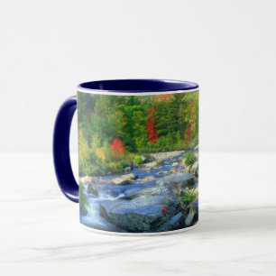 Mug Flume Falls   Monts Adirondack