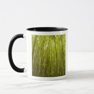 Mug Forêt de bambou près du sentier Waikamoi Ridge Tra