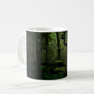 Mug Forêt   Routeburn Track Fiordland National Park